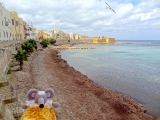 Trapani bord de mer