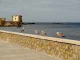 Trapani bord de mer