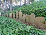 cimetière juif Třebíč