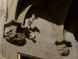 DSC04470 - copie
