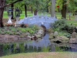 Varsovie parc Lazienki jardin chinois