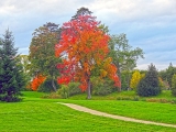 Versailles Petit Trianon jardin anglais