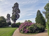 Versailles Petit Trianon jardin anglais