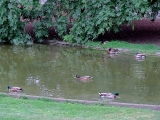 Vienne Stadtpark