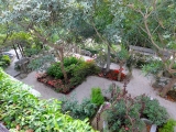 Villa Ephrussi de Rotchschild jardins