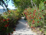 Villa Ephrussi de Rotchschild jardins