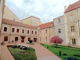 Vilnius université