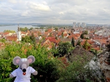 Vue sur Zemun et Belgrade