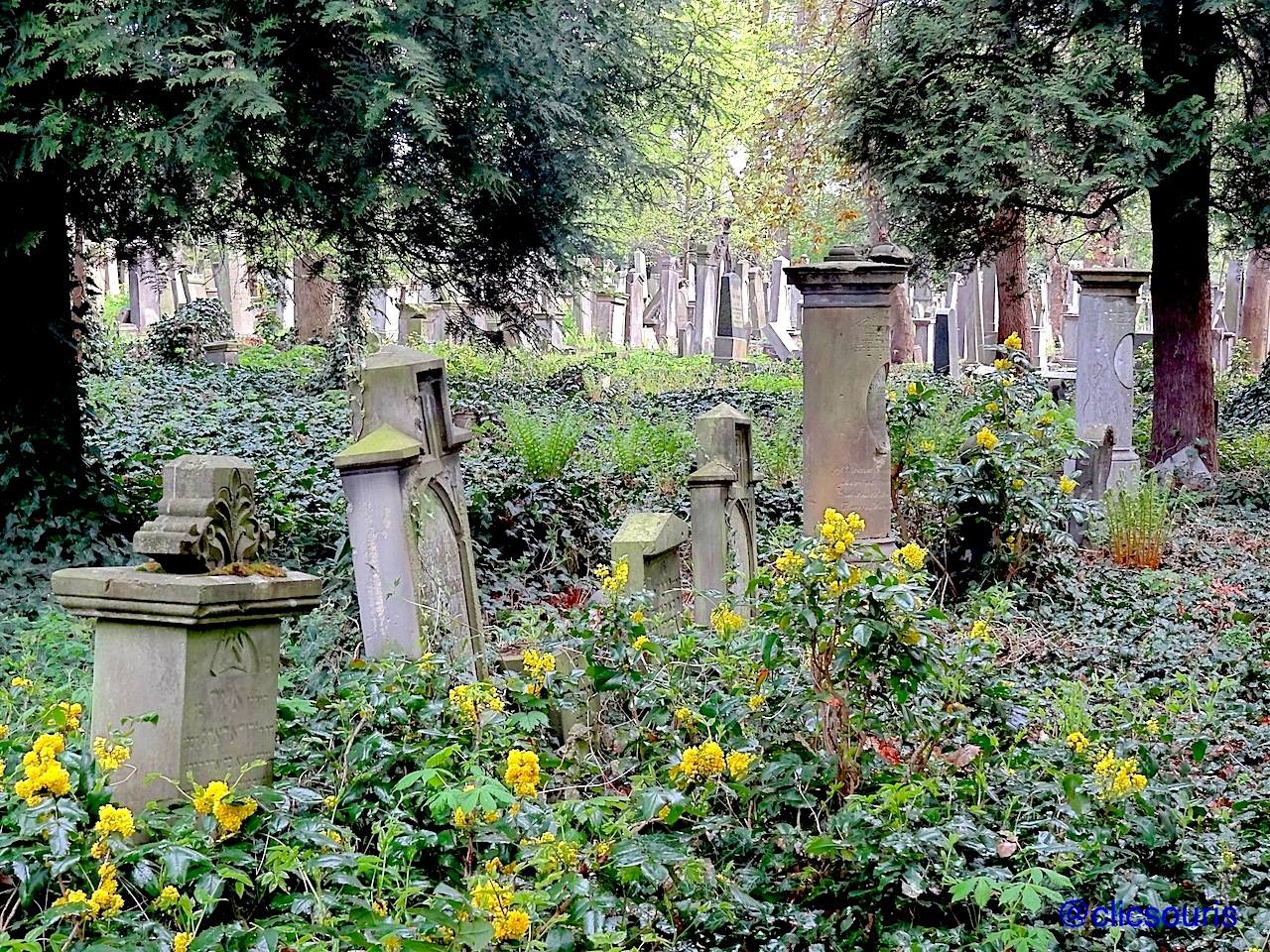 Wroclaw cimetière juif