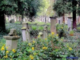 Wroclaw cimetière juif