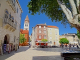 Zadar Trg Petra Zoranica