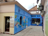 Zemun centre