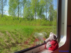 dans le train vers Trakai