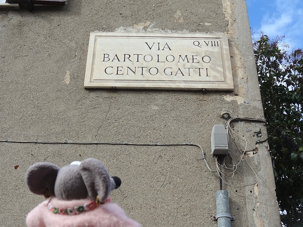 La rue des cent chats, quel nom !