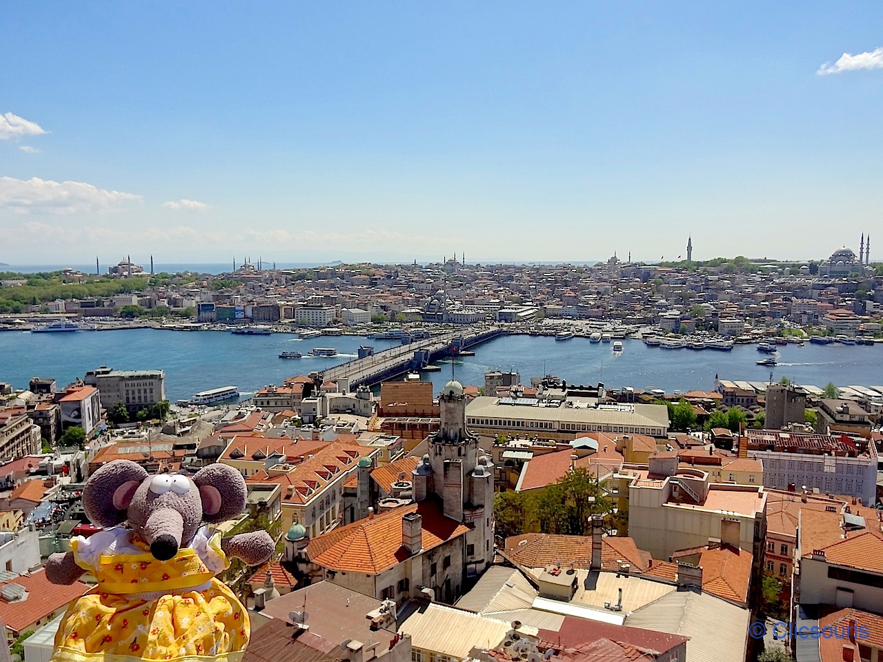 vue panoramique sur Istanbul