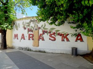 Zadar maraska