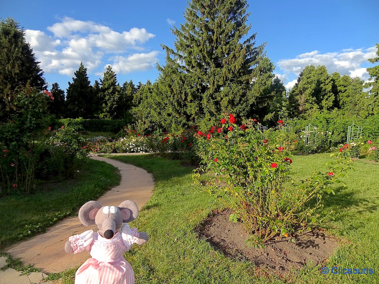 Jardin botanique de Kiev