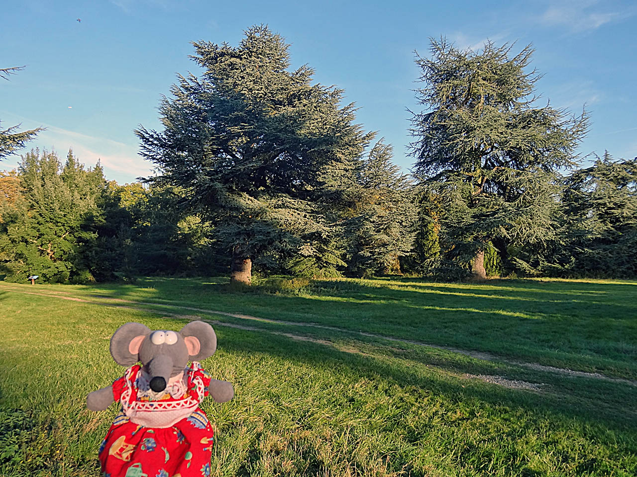 Arboretum de Chèvreloup à Versailles