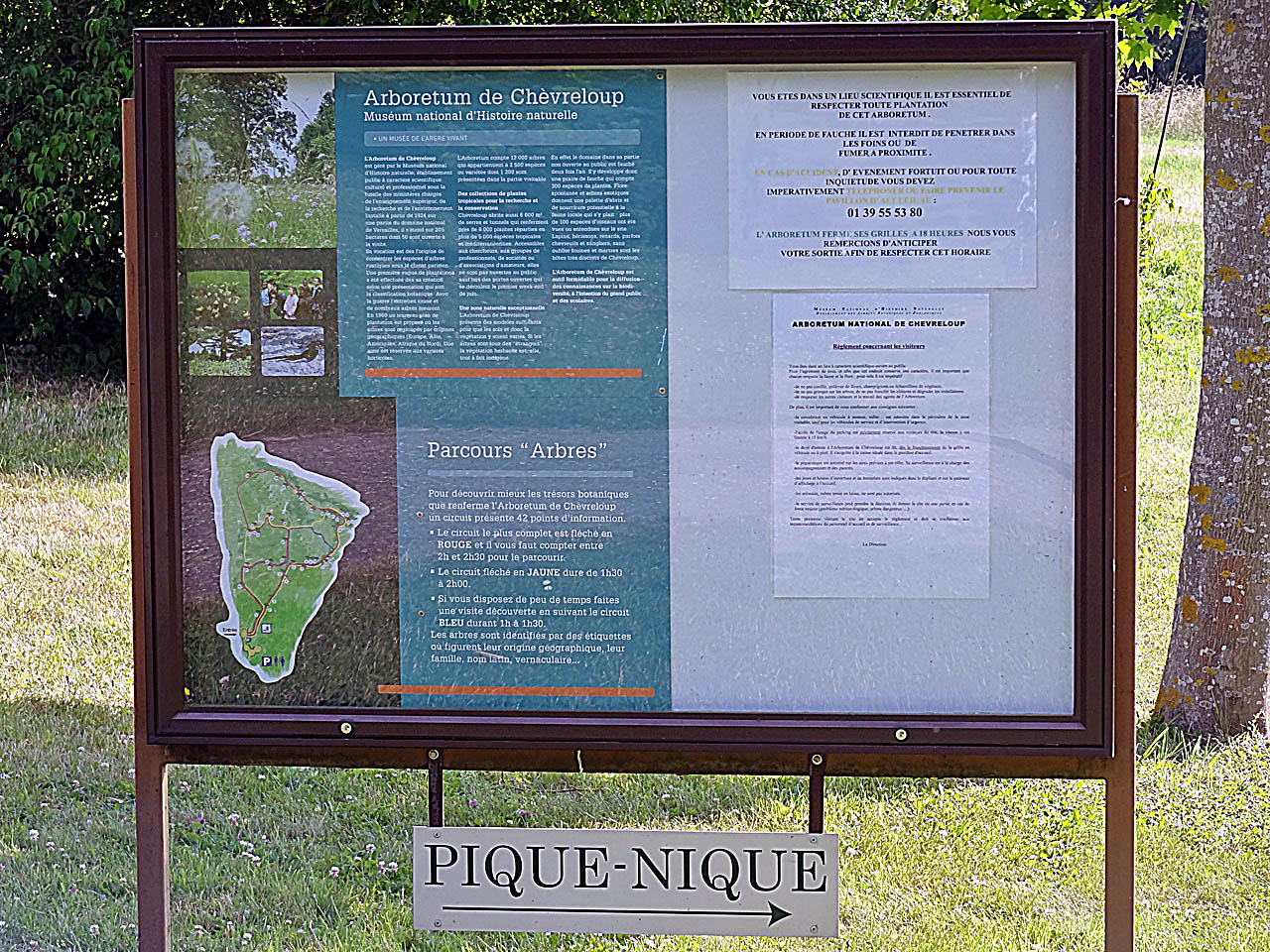 Sentiers de l'arboretum de Chèvreloup à Versailles