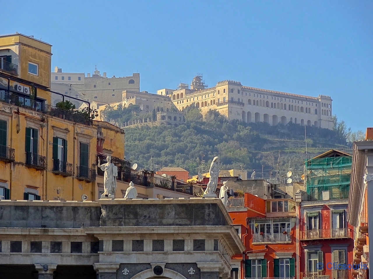 Chartreuse de Naples