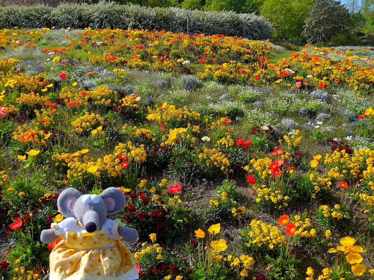 Parc floral de Paris