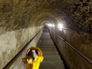 escalier pour accéder au Naples souterrain