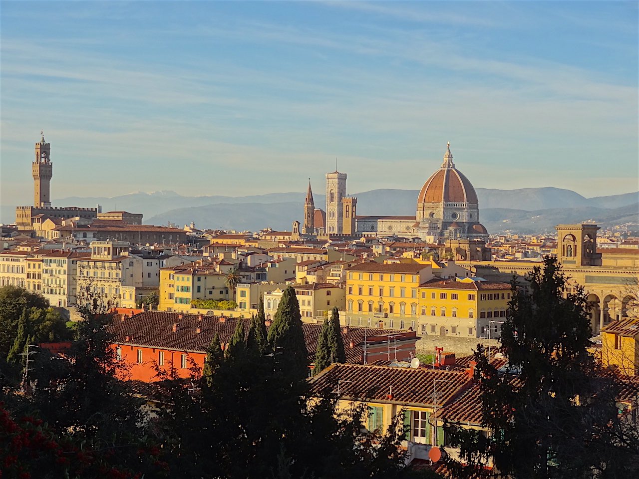 vue sur le centre historique de Florence