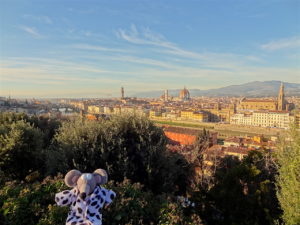 vue sur Florence depuis la piazzale Michelangelo