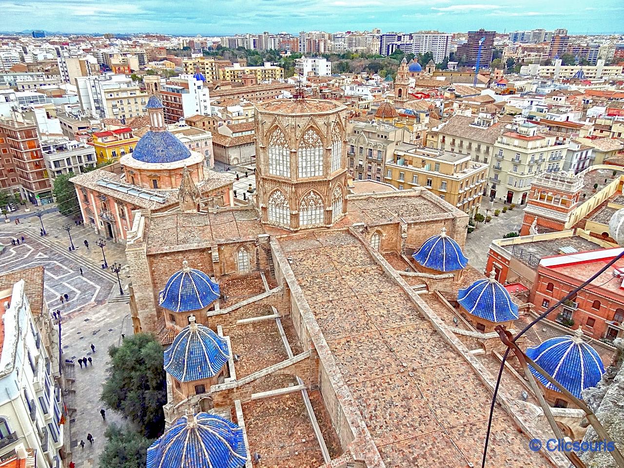 la cathédrale vue depuis le Miguelete