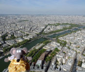 La vue du sommet de la tour Eiffel : conseils de visite, photos du panorama, avis, prix des billets et horaires