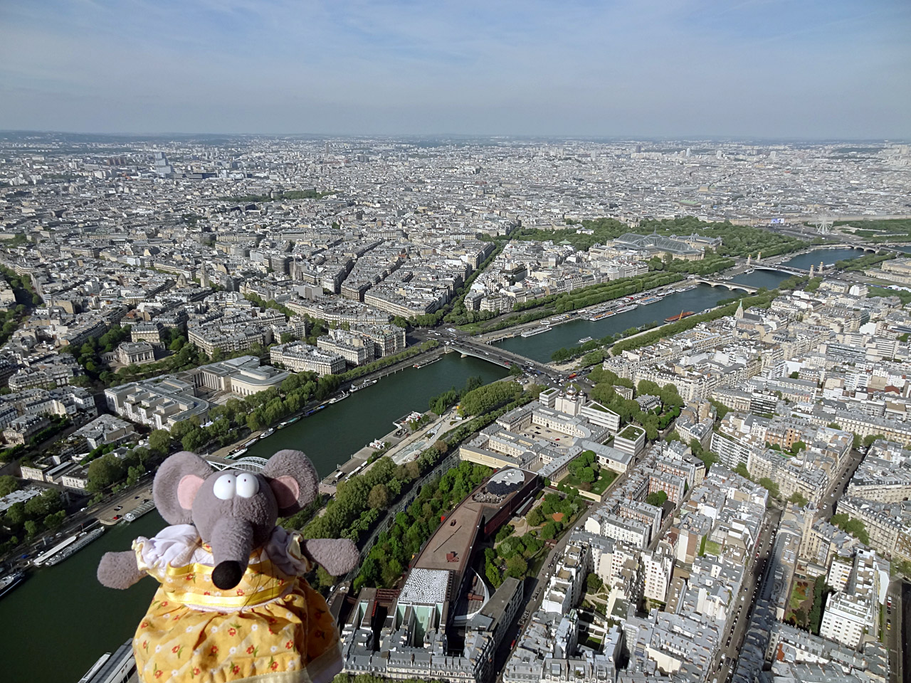 Paris vu depuis le 3e étage de la tour Eiffel