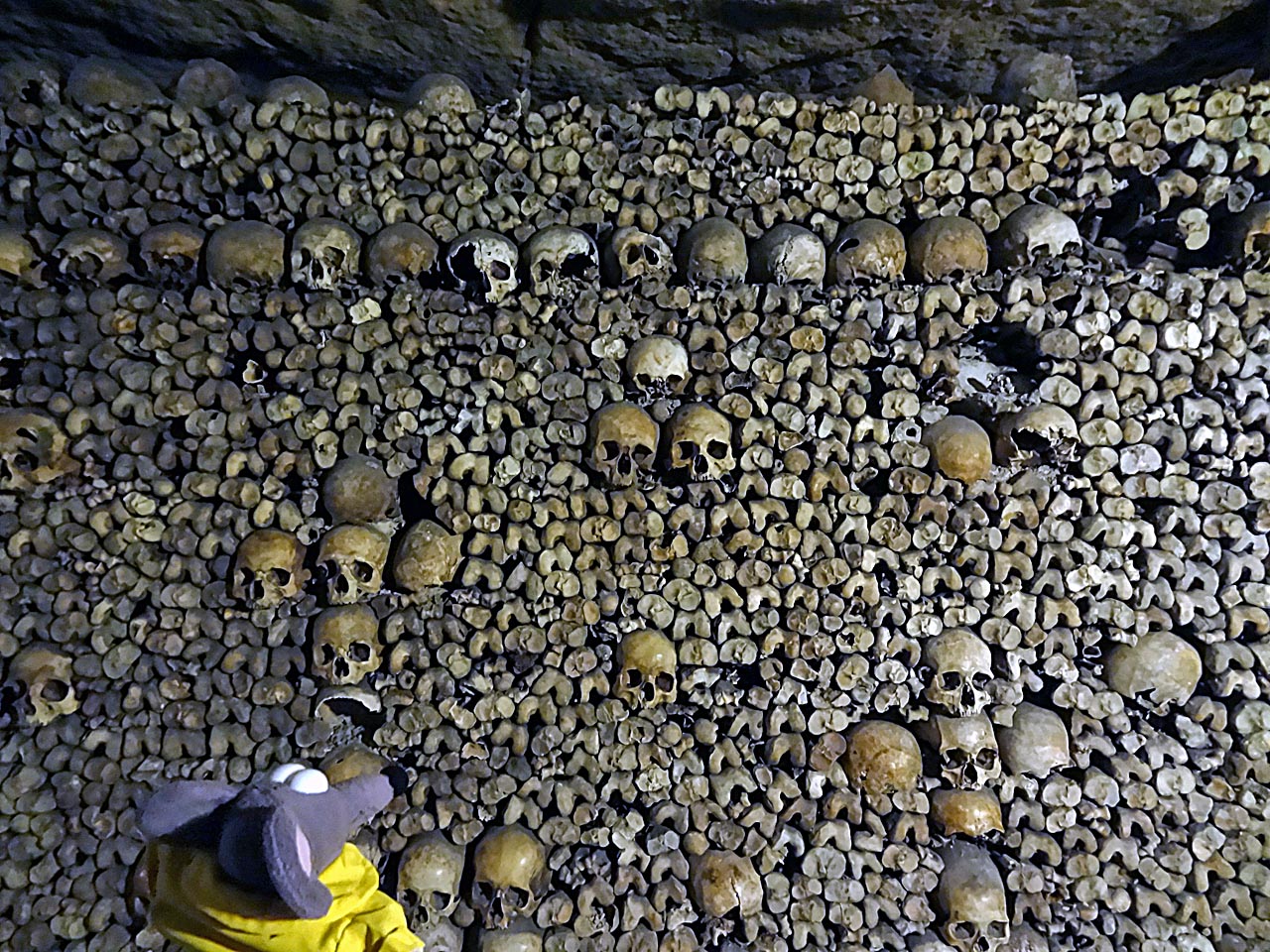 Les hagues d'ossements aux catacombes de Paris