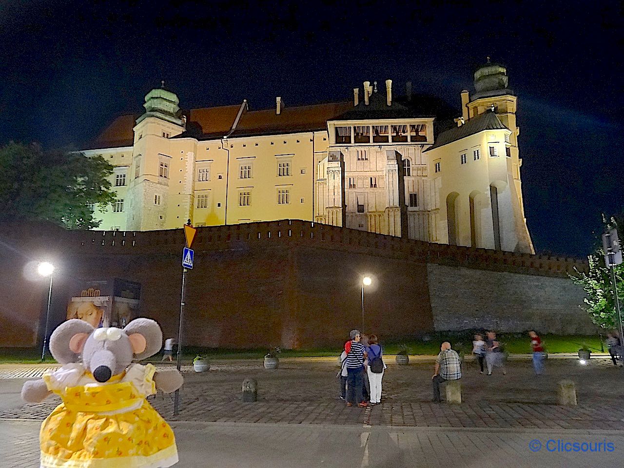 château de Wawel à Cracovie de nuit