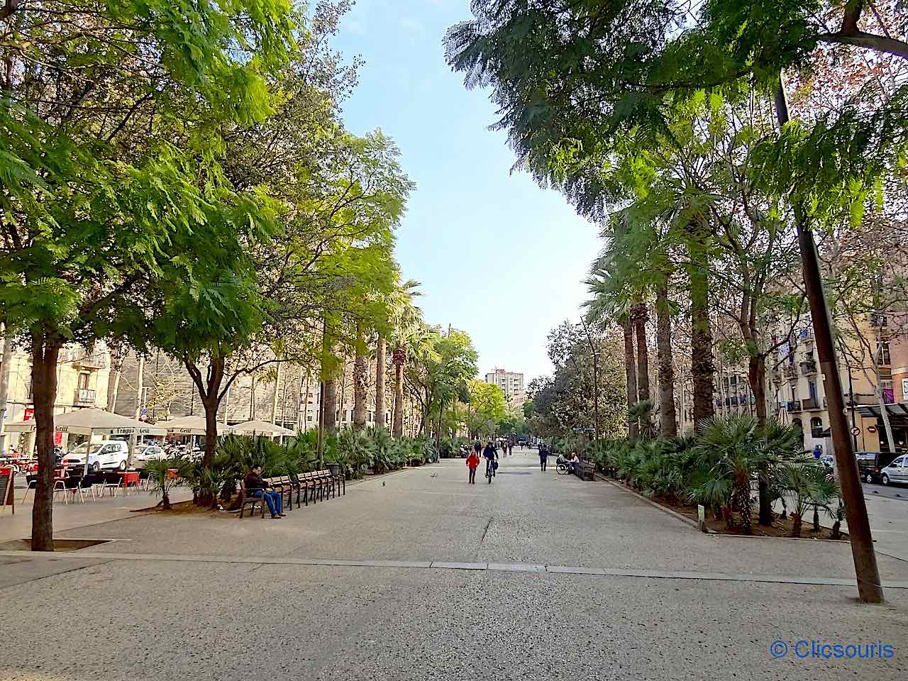 Rambla del Raval