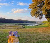 Le parc de Marly-le-Roi et le musée du domaine royal : visite en photos, horaires, prix