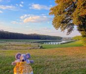 Le parc de Marly-le-Roi