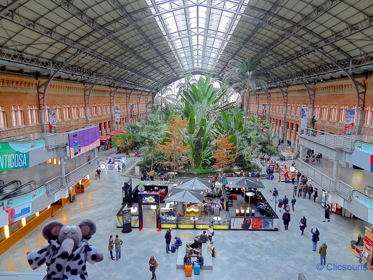 jardin d'hiver dans la gare Atocha à Madrid