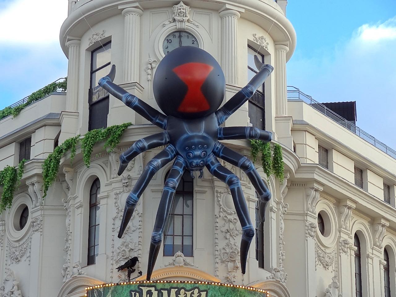 Araignée à Madrid