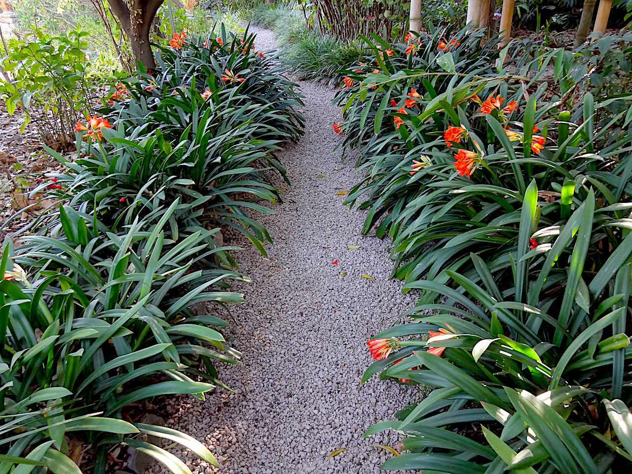 jardin du val Rahmeh à Menton