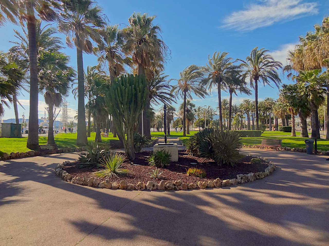 croisette et palmiers à Cannes