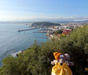 vue sur la colline du château et le port de Nice
