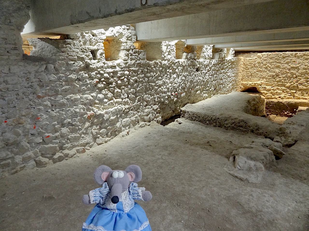 crypte archéologique de Nice