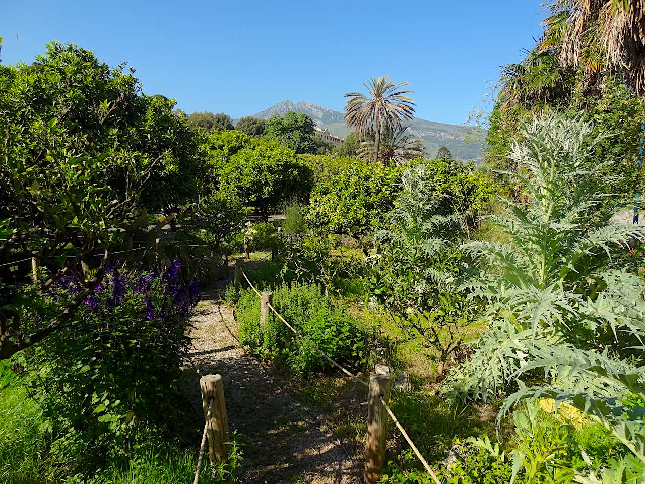 jardin Carnolès de Menton