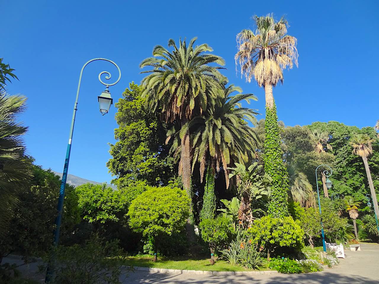 jardin Carnolès de Menton