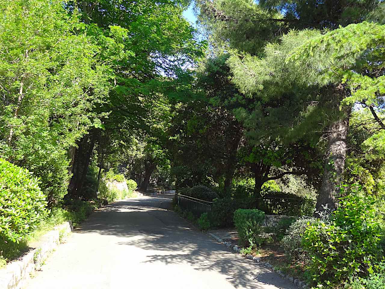 sentier de la colline du château à Nice