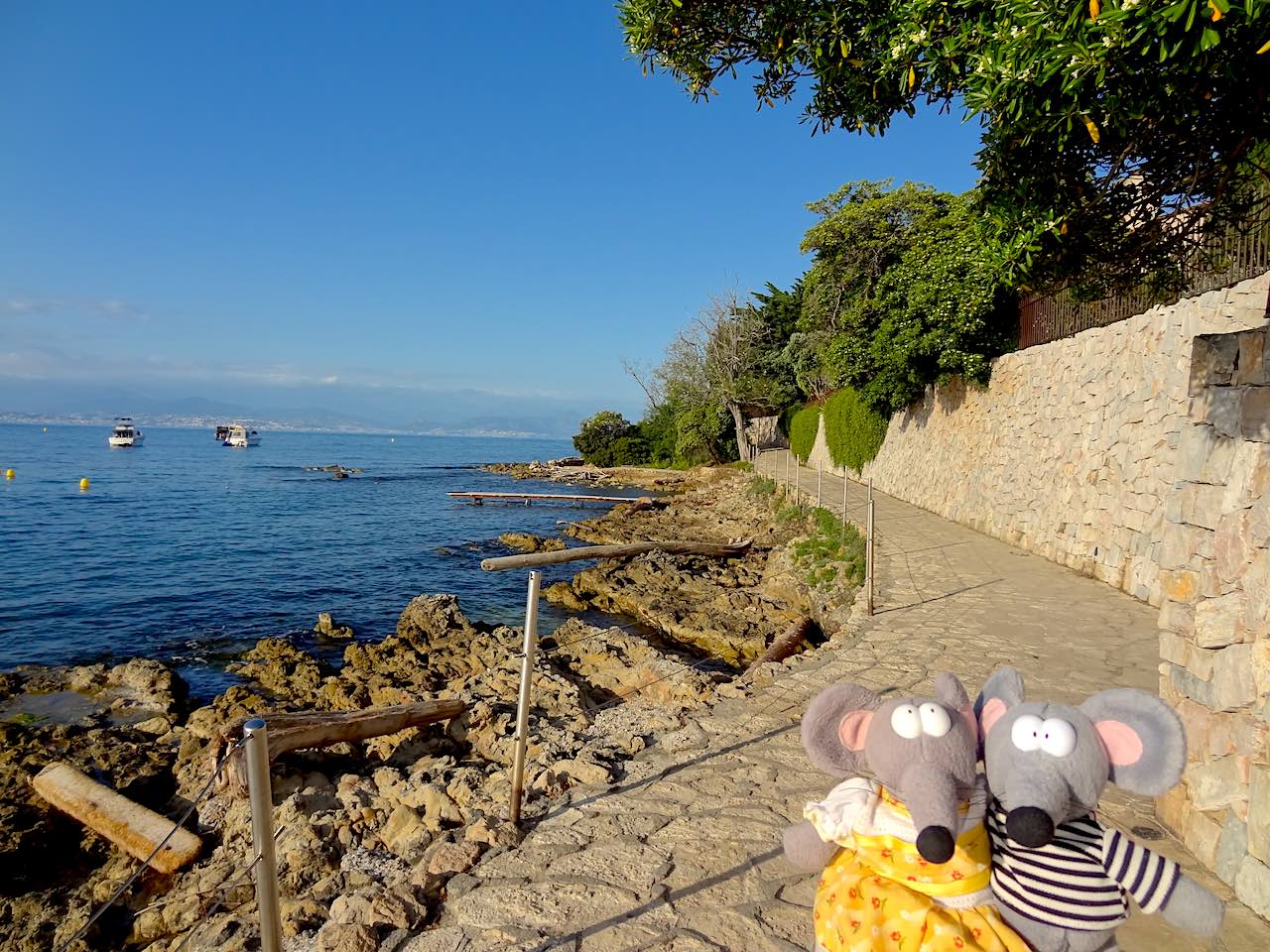 sentier de tire-poil à Antibes