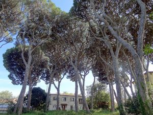 jardin botanique de la villa Thuret à Antibes