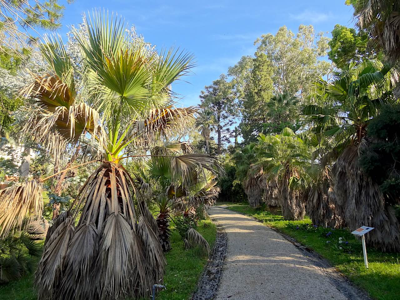 jardin botanique de la villa Thuret à Antibes