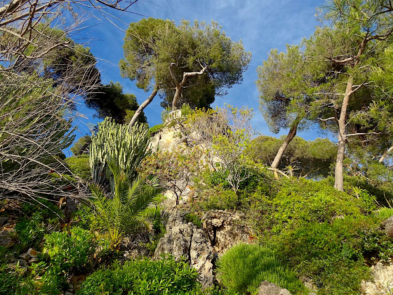 sentier cap martin