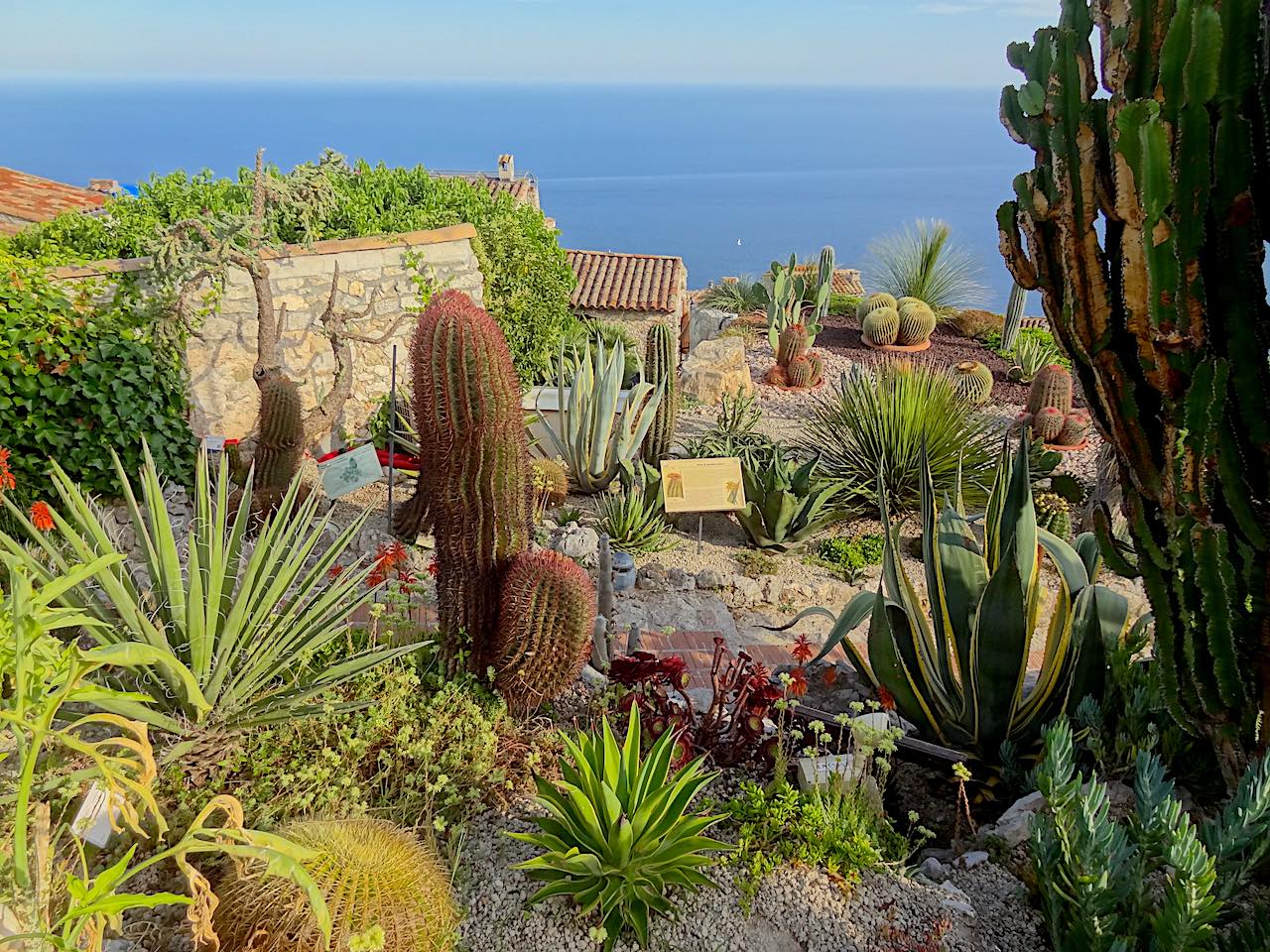 jardin exotique d'Èze